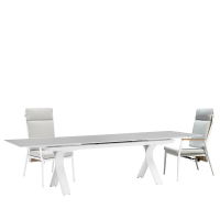 Linear & Gravity 10 Seat Dining Set with Extendable 300cm Table