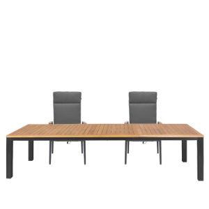 Venus & Gravity 10 Seat Dining Set with Extendable 310cm Table