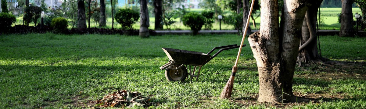 Preparing Your Garden and Outdoor Furniture for Winter