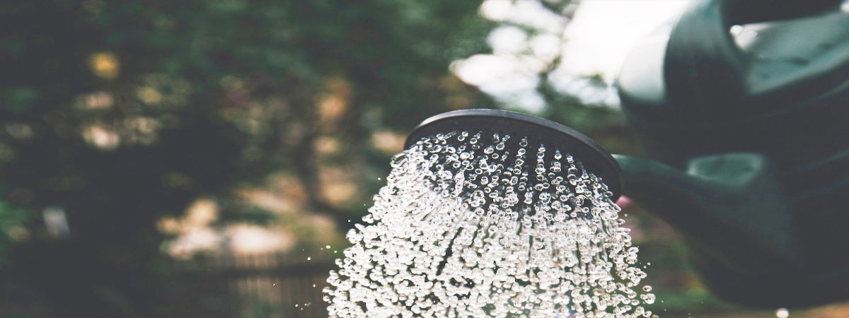 Gardening During a Hosepipe Ban